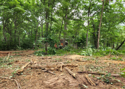 July 31, 2022 - clearing the wooded lot
