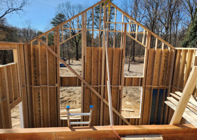 March 9 - framing work
